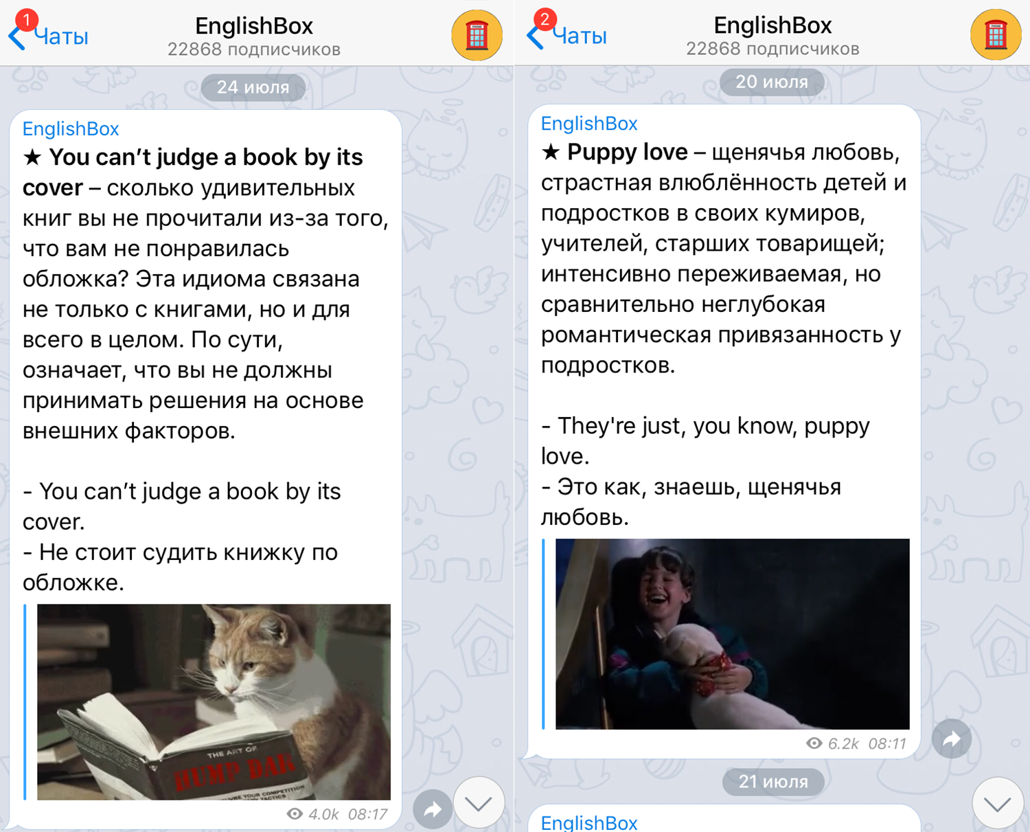 7 телеграм-каналов, по которым учить английский — одно удовольствие