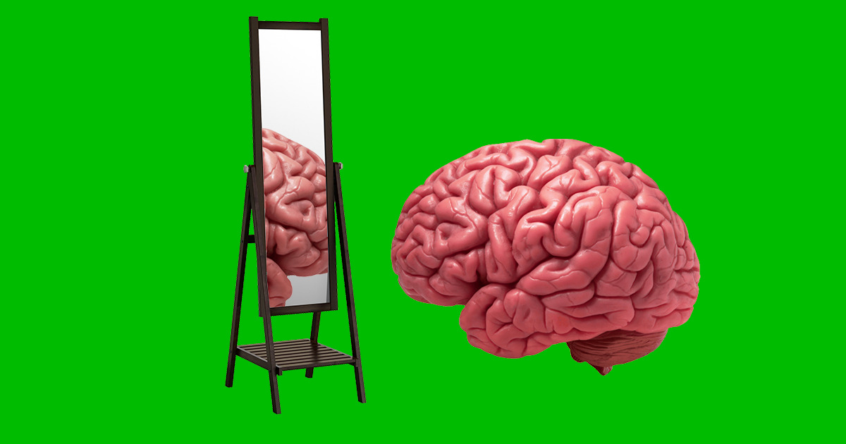 Учиться лучше в молодости — и еще 7 абсурдных мифов о мозге